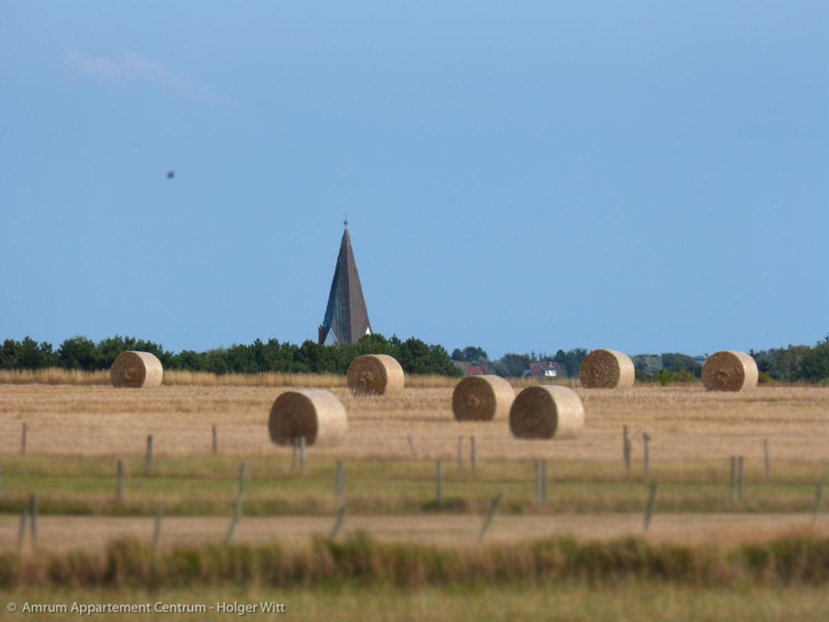 Strand Residenz Amrum *Strand Residenz 9* Wittdün Екстериор снимка